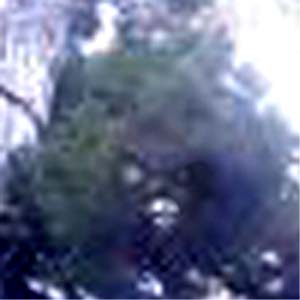e0103408_20214918.jpg