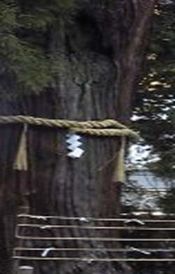e0103408_20241731.jpg