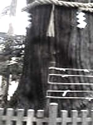 e0103408_20243499.jpg
