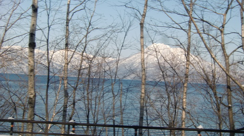 f0230410_175159.jpg