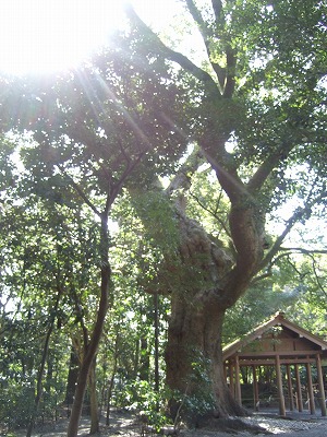 f0227218_21503062.jpg