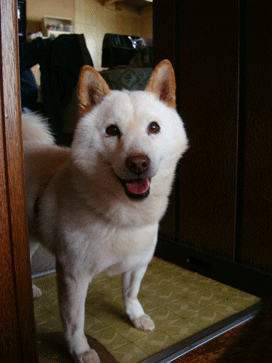 f0232522_1231096.gif
