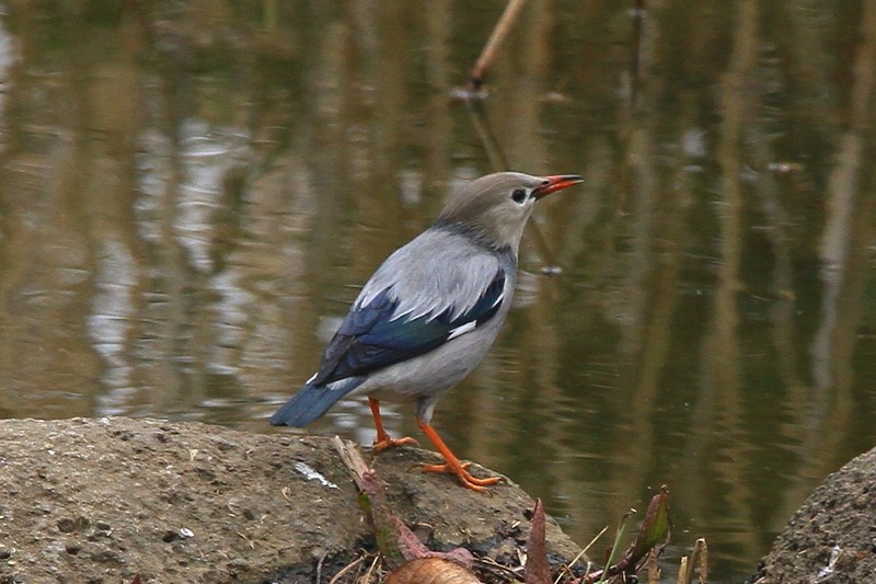 c0104227_08217.jpg