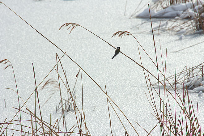c0067040_22431718.jpg