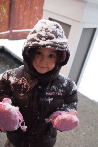 また雪が降った〜〜〜_e0130949_1030018.jpg