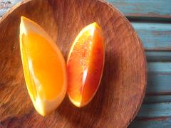 タロッコオレンジと清美タンゴールが届きました_a0077752_2325076.jpg