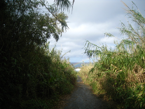 b0160957_8143383.jpg