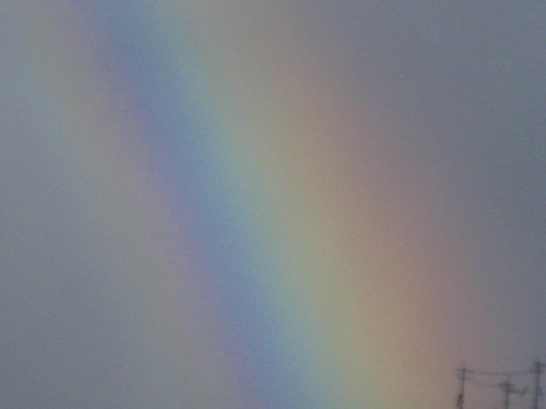 b0160957_8191023.jpg