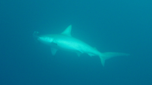 ２月２４日 ブンブンブーン Ydsブログ