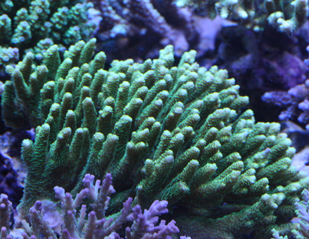 a0162261_18501275.jpg