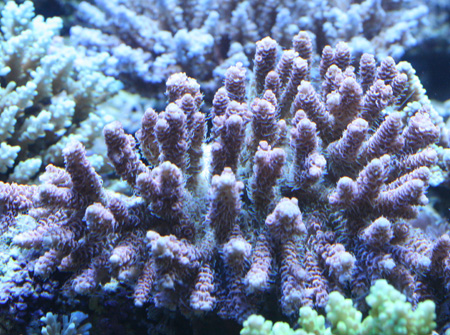a0162261_18502731.jpg