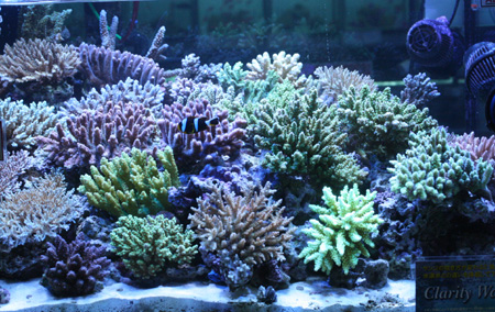 a0162261_18535026.jpg
