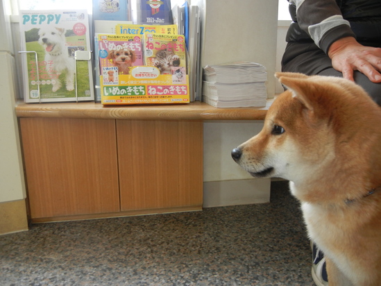 2月25日(金)再び、遼くん生還!_f0060461_2148896.jpg