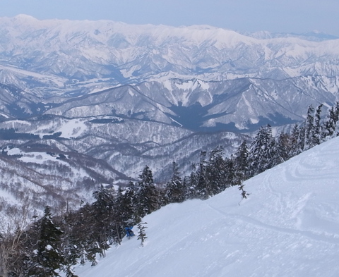 d0128163_13174945.jpg