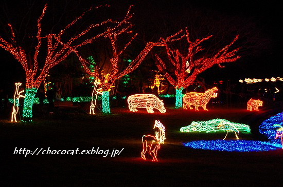  Animal Lights at the Oregon Zoo_e0128367_11432471.jpg