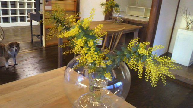 f0121167_2149070.jpg