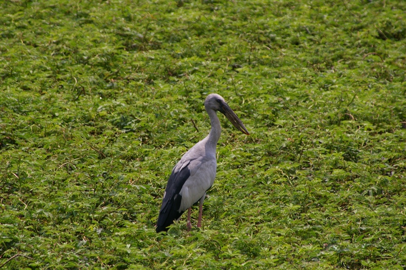 a0143780_23182214.jpg