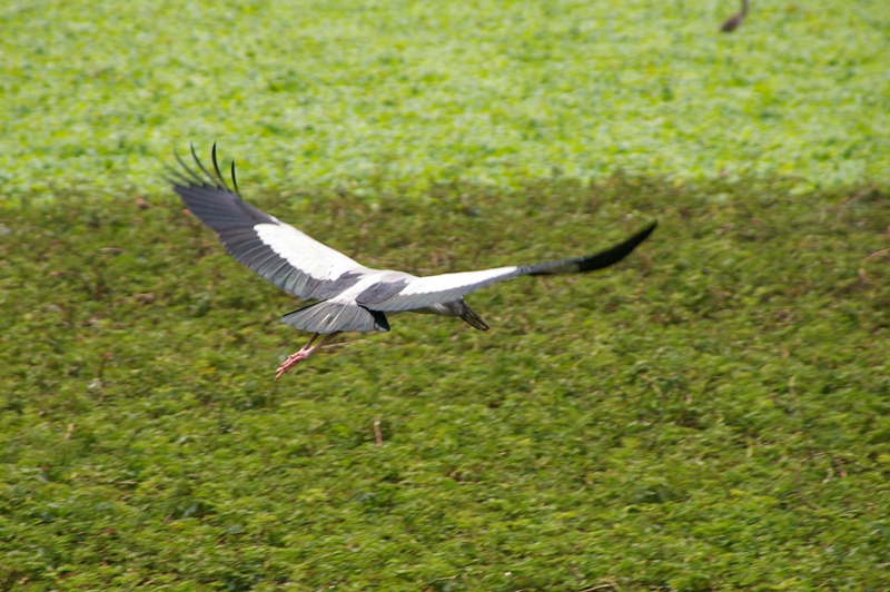 a0143780_2345932.jpg