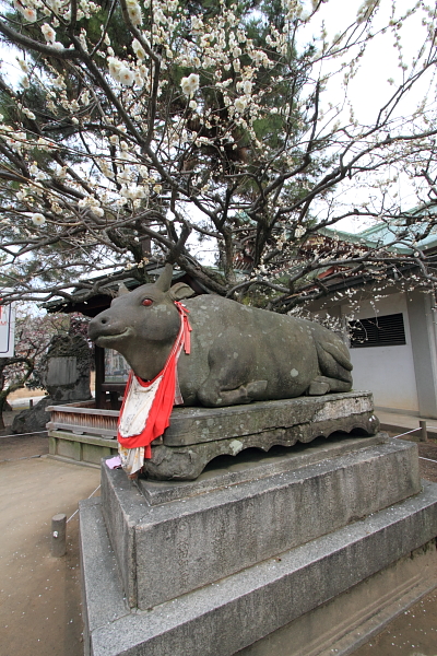 北野天満宮「梅花祭」_e0051888_23412528.jpg