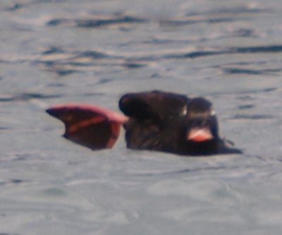 f0159390_12153813.jpg