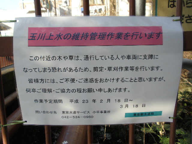 上水の樹木伐採のお知らせ 2月13日 日 玉川上水 久我山だより 上水の樹木伐採のお知らせ 2月13日 日 玉川上水 久我山だより