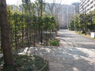 e0033301_05793.jpg