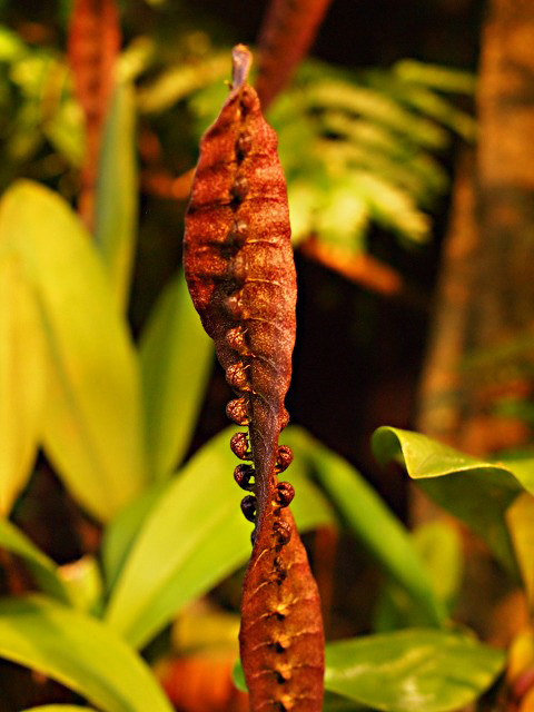 e0039703_232973.jpg