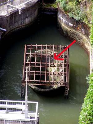 e0103408_1711363.jpg