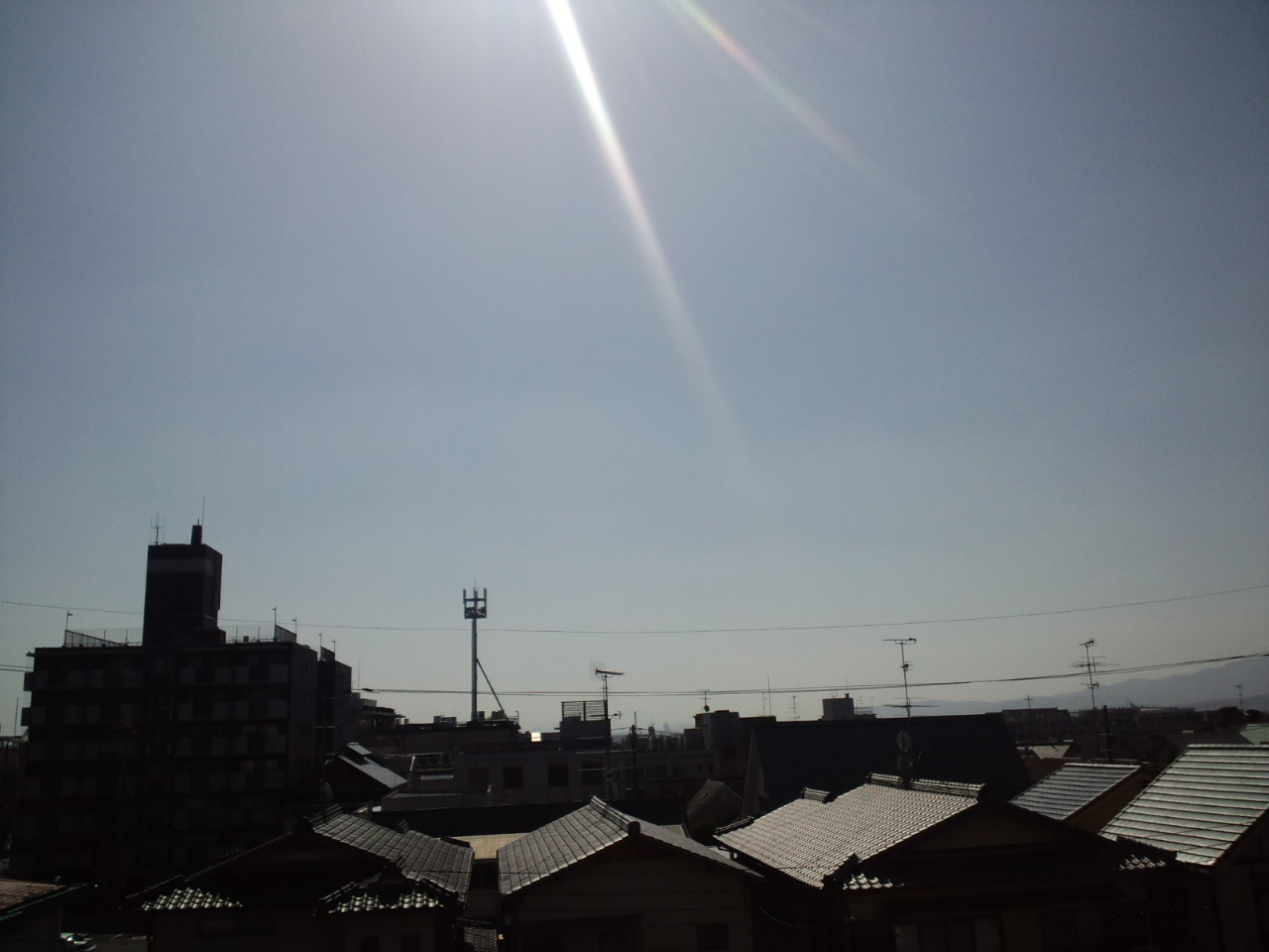 TSUNMA835_c0160112_1211226.jpg