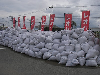 宮崎自然農園２月１４日～２６日。天気最高の２６日土曜日！_b0181417_12255995.jpg