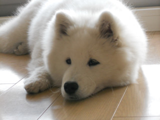 e0224322_15506.jpg