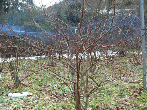 f0052323_1639501.jpg