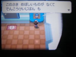 ポケットモンスターブラック縛りプレイ（たきのぼり回収）_a0120525_0171159.jpg