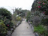 d0086228_18442661.jpg