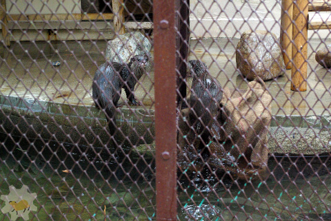 f0138828_22201973.jpg