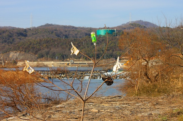 ２月２６日　高梁川土手_a0045932_22542229.jpg