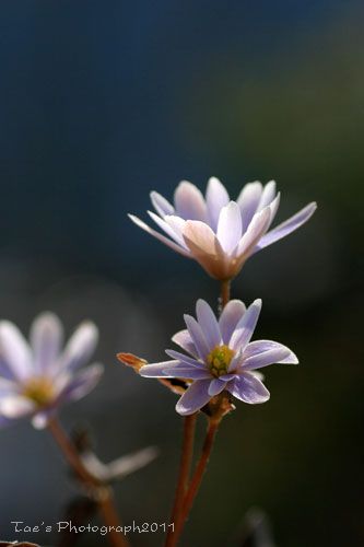 f0005733_1522950.jpg