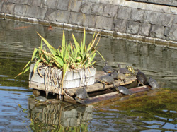 f0038336_8364558.jpg