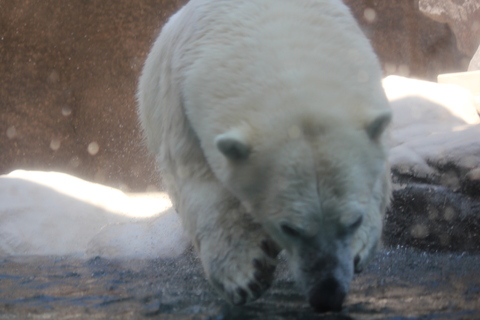 ピンボケ。ロッシー　2010/08/26_d0214638_22233082.jpg