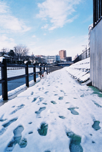 e0188039_1511178.jpg