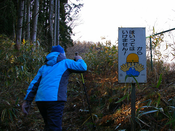 c0081645_1755662.jpg