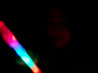e0010353_21553386.gif