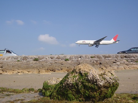 c0180460_1483.jpg