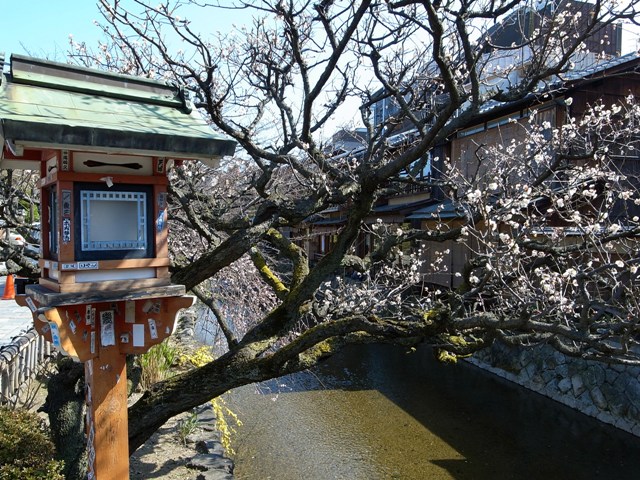 お昼どすえ・・・祇園界隈_d0090161_14274146.jpg