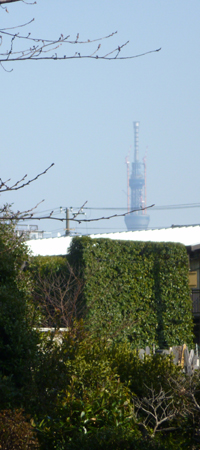 a0053063_22152398.jpg