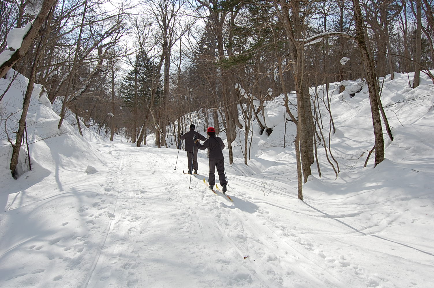 野幌原始林　　　　２０１１　２/26  _e0120466_0201680.jpg