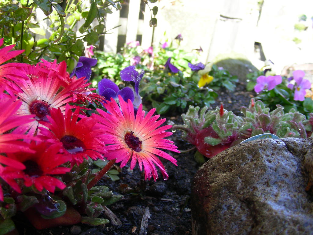 b0096584_2213995.jpg