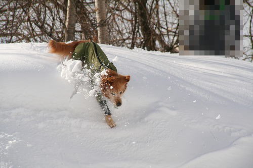 裏磐梯 雪遊び旅行 2/19午後の部_c0172184_18204483.jpg