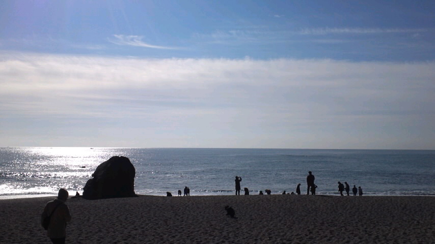 d0113187_14740.jpg
