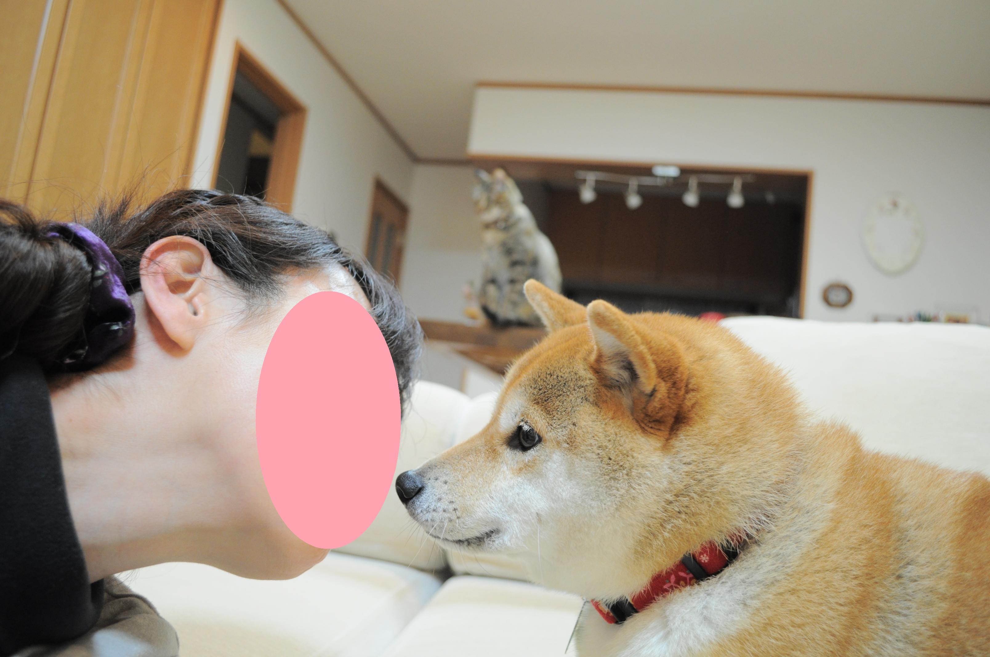 遊ばれてる私_a0126590_846478.jpg